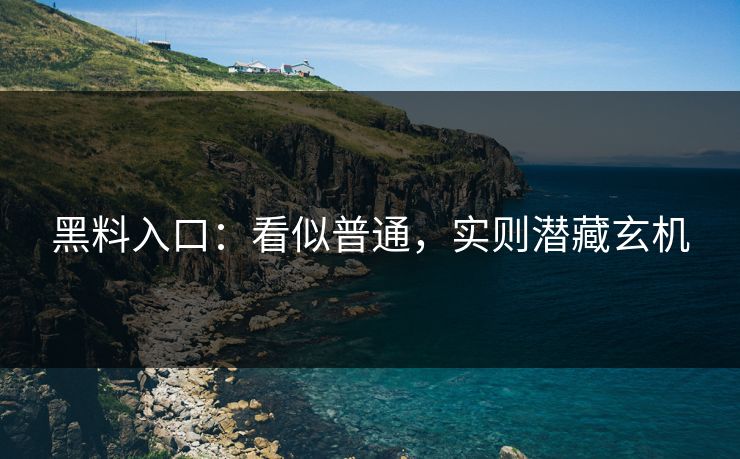 黑料入口:看似普通,实则潜藏玄机