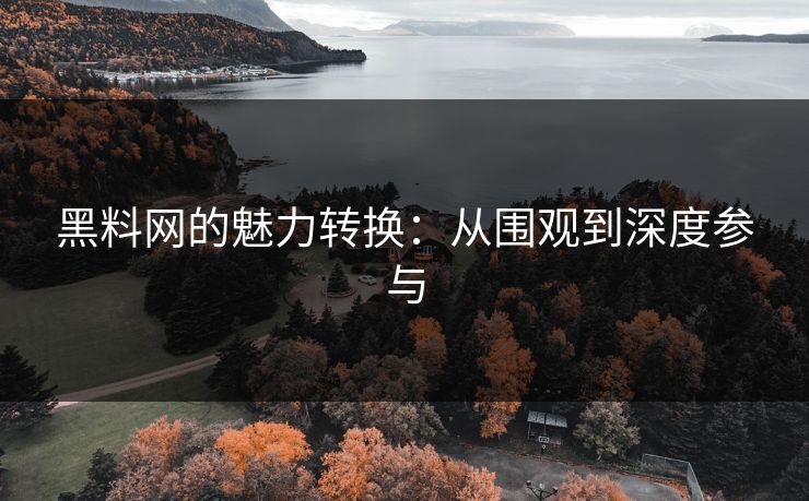 黑料网的魅力转换：从围观到深度参与
