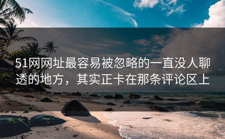 51网网址最容易被忽略的一直没人聊透的地方，其实正卡在那条评论区上